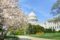 Stuck in the Middle with ESG: What Companies Can Expect in 2025 & Beyond