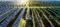 ESG and the Bear: What to Make of the 2022 Proxy Season