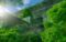 Thriving in the Social Issuesphere: Guidance for Corporate America