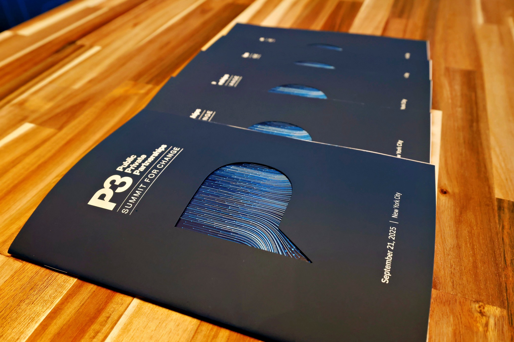 P3 Program